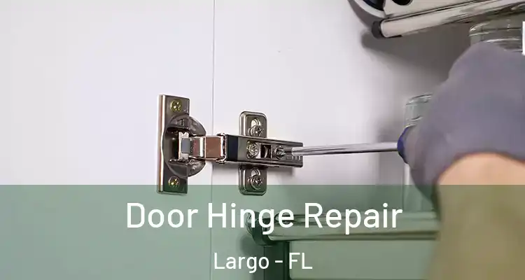 Door Hinge Repair Largo - FL