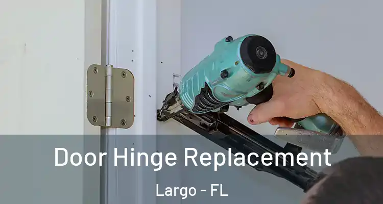  Door Hinge Replacement Largo - FL