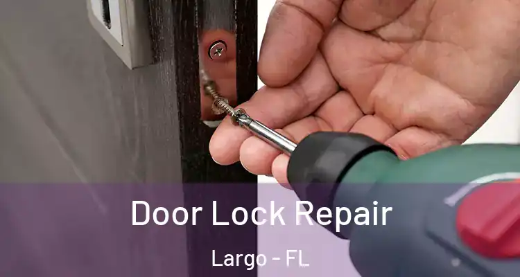  Door Lock Repair Largo - FL