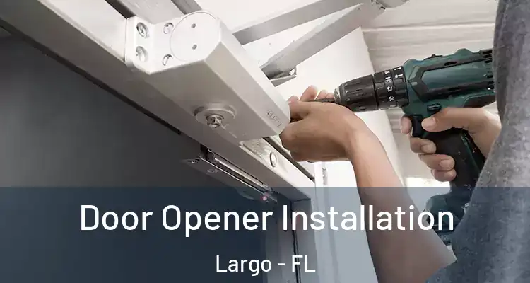  Door Opener Installation Largo - FL