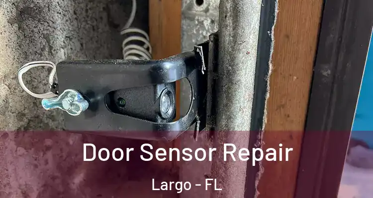  Door Sensor Repair Largo - FL