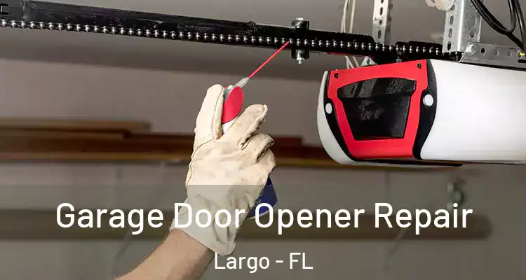  Garage Door Opener Repair Largo - FL