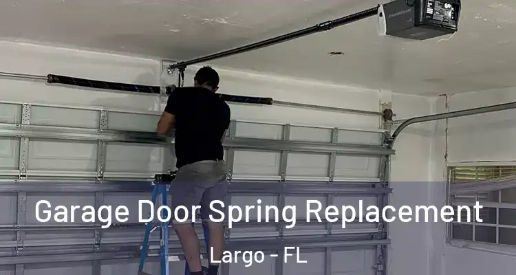  Garage Door Spring Replacement Largo - FL