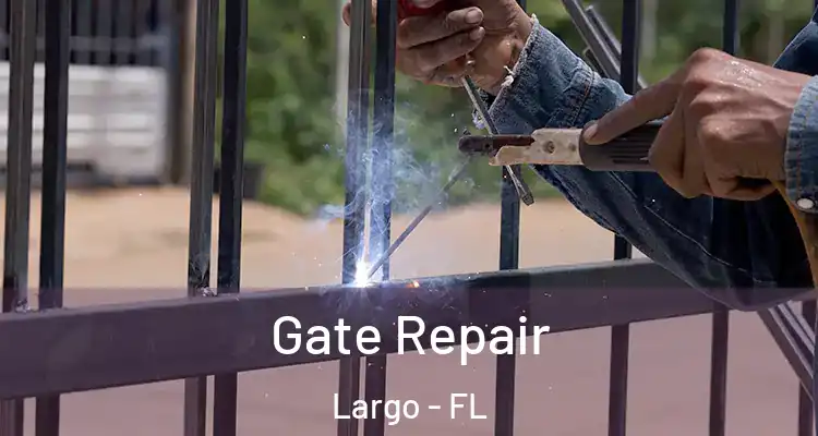  Gate Repair Largo - FL