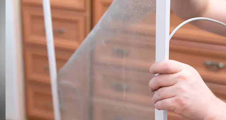 Privacy Mesh Screen Door Installation in Largo, FL