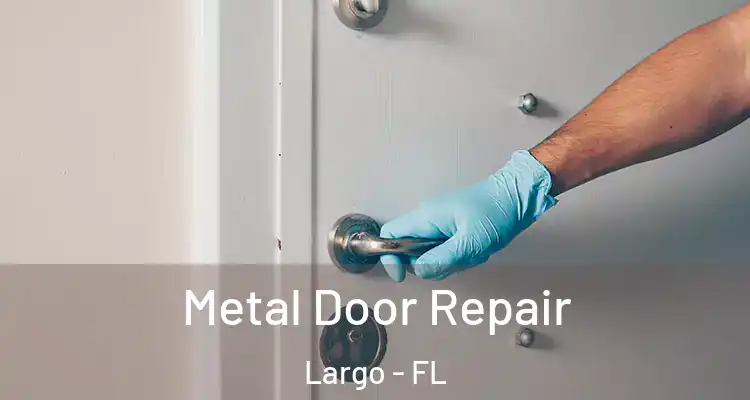 Metal Door Repair Largo - FL