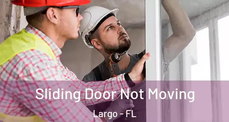  Sliding Door Not Moving Largo - FL