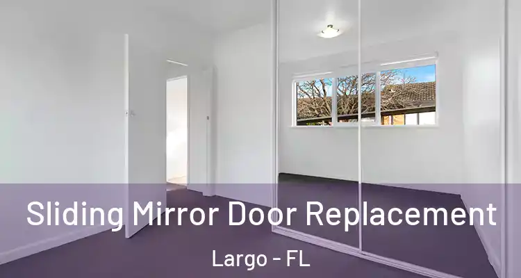  Sliding Mirror Door Replacement Largo - FL