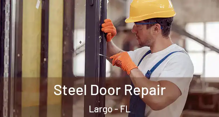  Steel Door Repair Largo - FL