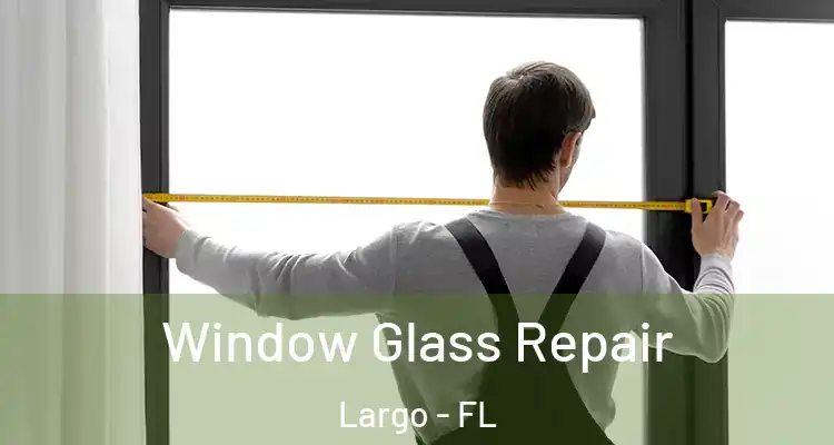  Window Glass Repair Largo - FL